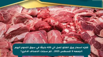 قفزة أسعار عِرق الفلتو تصل إلى 420 جنيهًا في سوق اللحوم اليوم الجمعة 8 أغسطس 2025.. كم سجلت الأصناف الأخرى؟